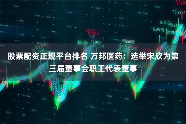 股票配资正规平台排名 万邦医药：选举宋欣为第三届董事会职工代表董事
