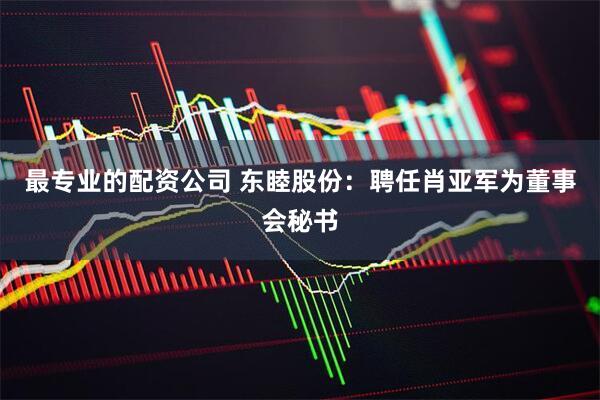 最专业的配资公司 东睦股份：聘任肖亚军为董事会秘书