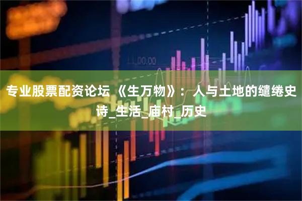 专业股票配资论坛 《生万物》：人与土地的缱绻史诗_生活_庙村_历史